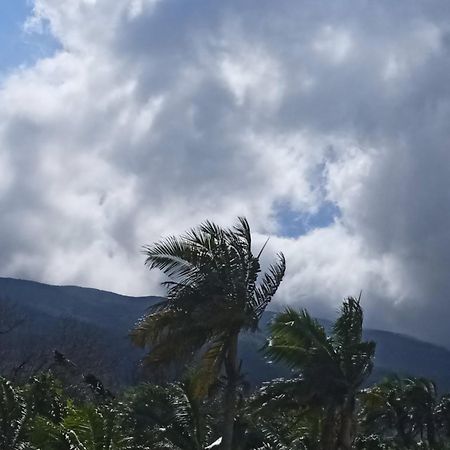 Gite Baril O'Thentik Saint-Philippe Exteriör bild